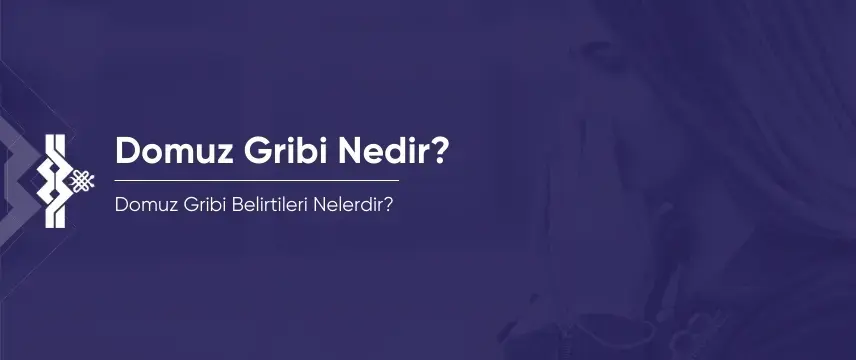 Domuz Gribi Nedir? Domuz Gribi Belirtileri Nelerdir?