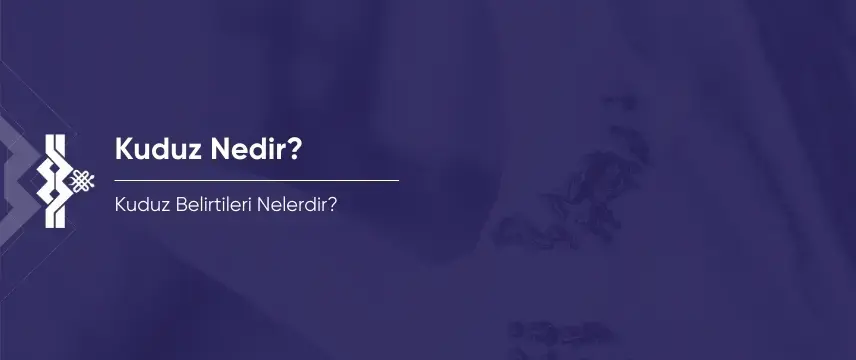 Kuduz Nedir? Kuduz Belirtileri Nelerdir?