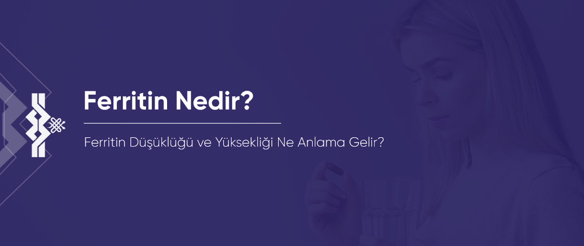 Ferritin Nedir? Ferritin Düşüklüğü ve Yüksekliği Ne Anlama Gelir?