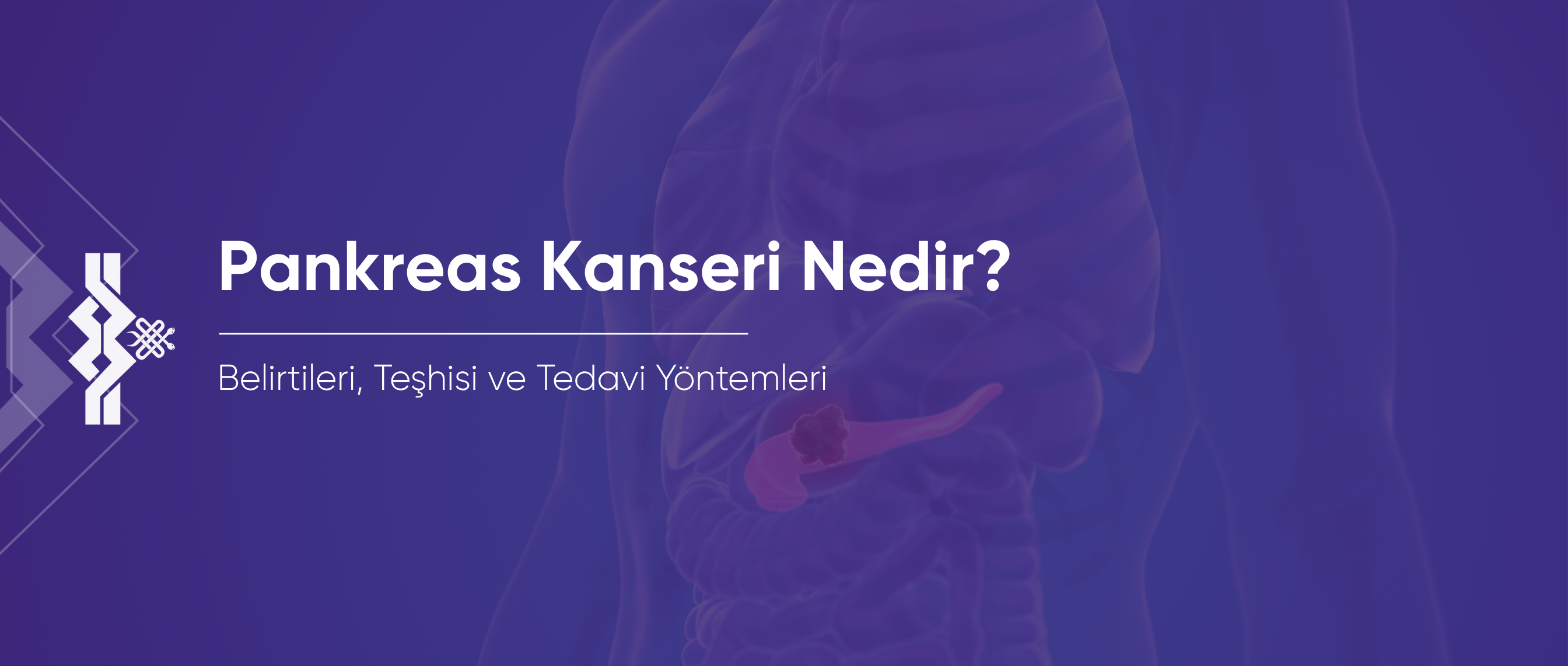 Pankreas Kanseri Nedir? Belirtileri, Teşhisi ve Tedavi Yöntemleri