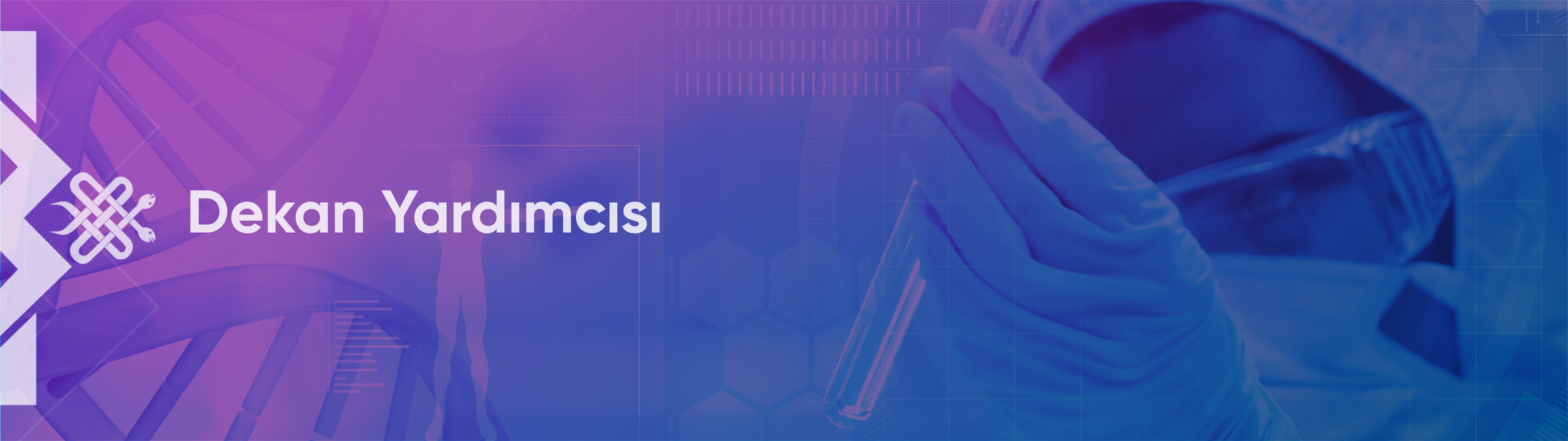 Dekan Yardımcısı
